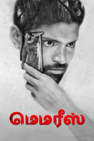Memories 2023 Hindi Dual Audio WEB-DL 720p - 480p - 1080p